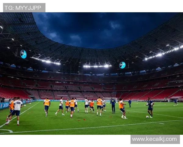 足球明星500名全景揭秘领略世界足球巨星的辉煌与传奇