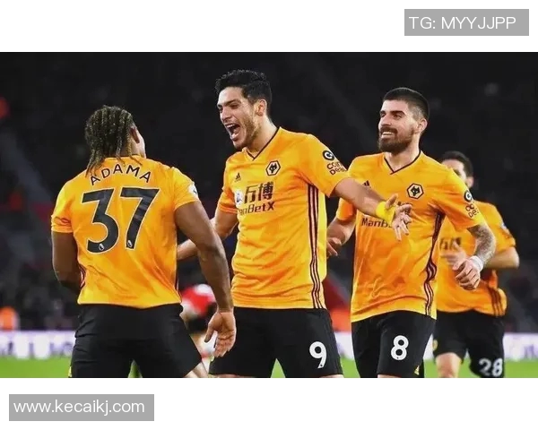 水晶宫与狼队对决前瞻分析及比赛结果预测探讨